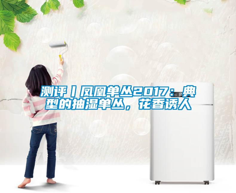 測(cè)評(píng)丨鳳凰單叢2017：典型的抽濕單叢，花香誘人