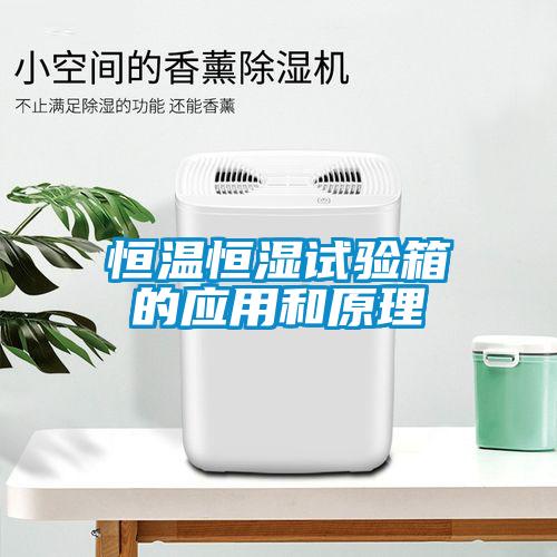 恒溫恒濕試驗(yàn)箱的應(yīng)用和原理