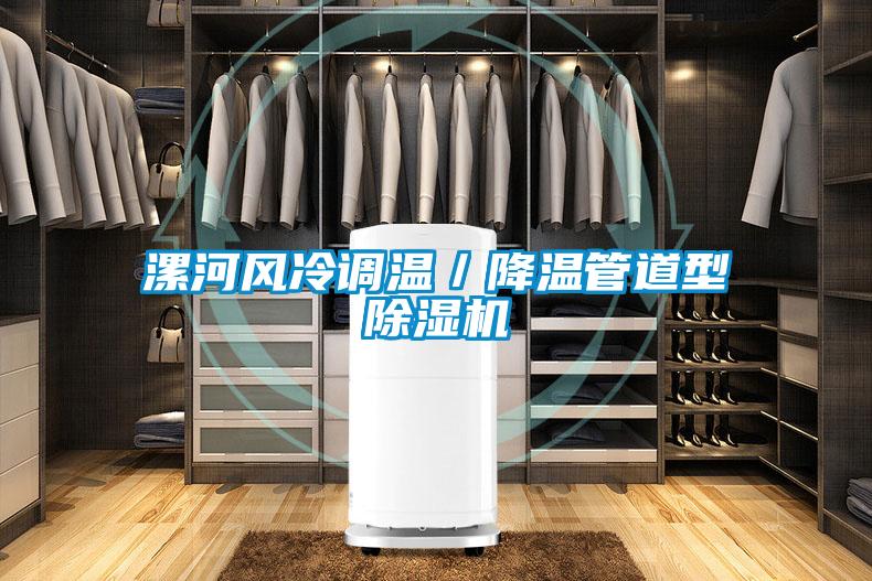 漯河風(fēng)冷調(diào)溫／降溫管道型除濕機