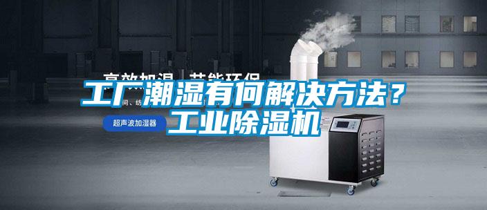 工廠潮濕有何解決方法？工業(yè)除濕機(jī)