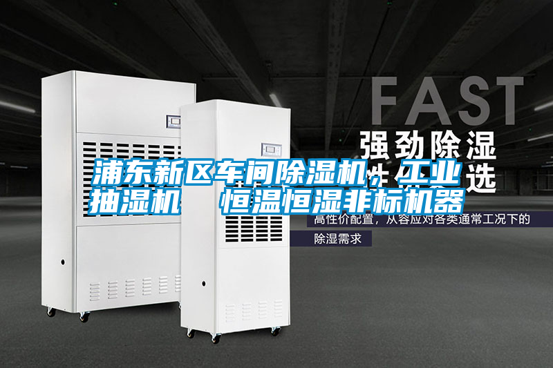 浦東新區(qū)車間除濕機(jī)，工業(yè)抽濕機(jī)  恒溫恒濕非標(biāo)機(jī)器