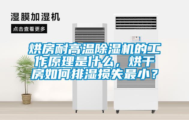 烘房耐高溫除濕機(jī)的工作原理是什么，烘干房如何排濕損失最?。?></div>
								<div   id=