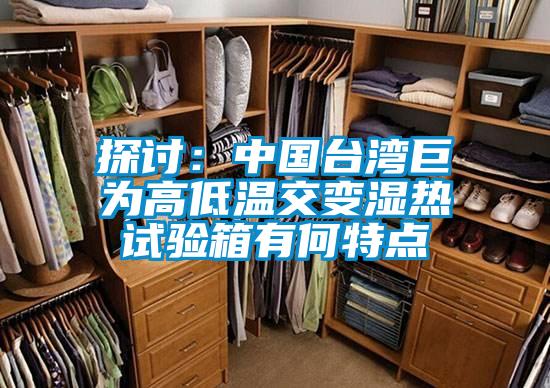 探討：中國臺(tái)灣巨為高低溫交變濕熱試驗(yàn)箱有何特點(diǎn)
