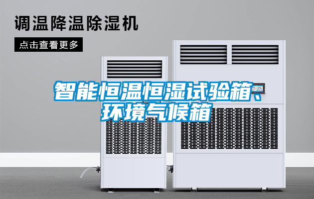 智能恒溫恒濕試驗(yàn)箱、環(huán)境氣候箱