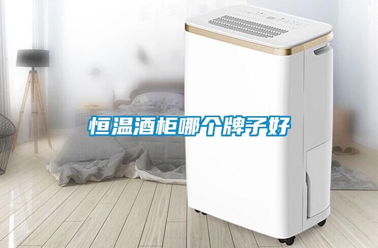 恒溫酒柜哪個(gè)牌子好