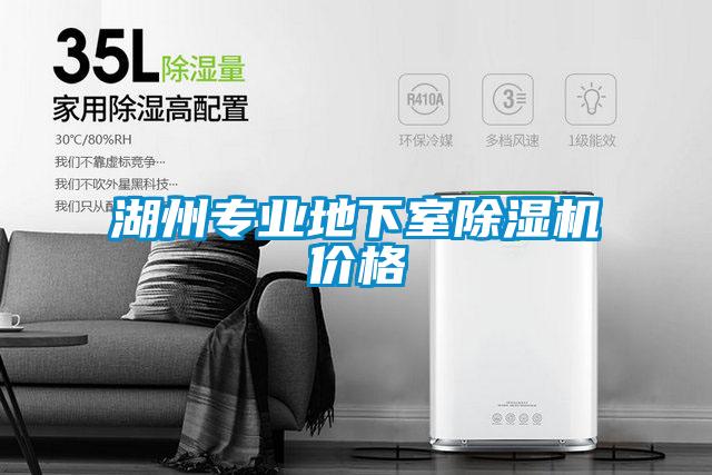 湖州專業(yè)地下室除濕機價格
