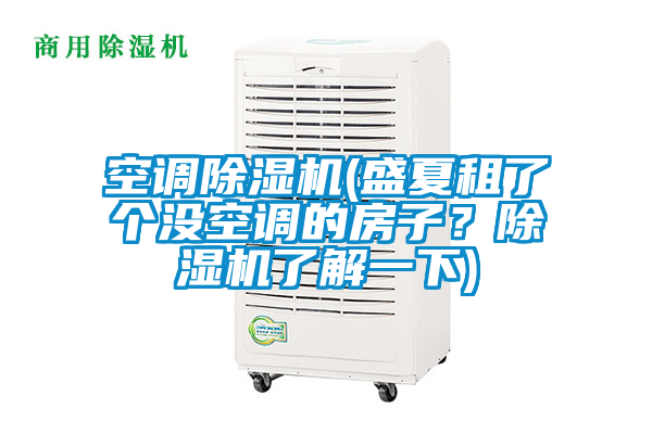空調(diào)除濕機(jī)(盛夏租了個(gè)沒空調(diào)的房子？除濕機(jī)了解一下)