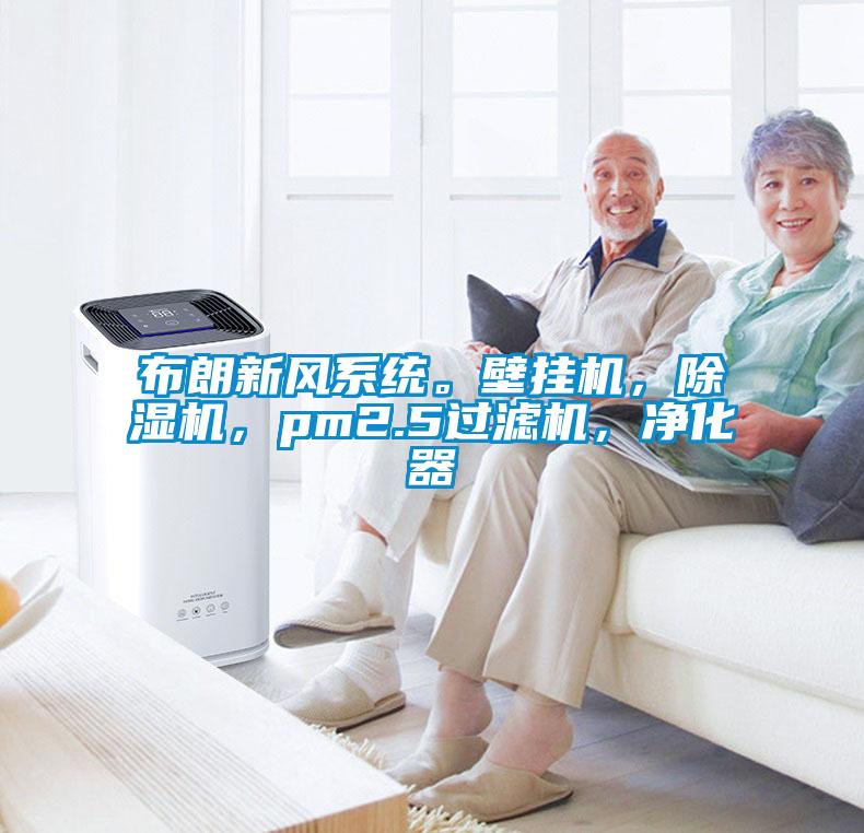 布朗新風系統(tǒng)。壁掛機，除濕機，pm2.5過濾機，凈化器