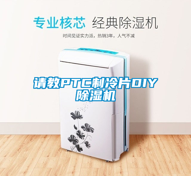 請教PTC制冷片DIY除濕機(jī)