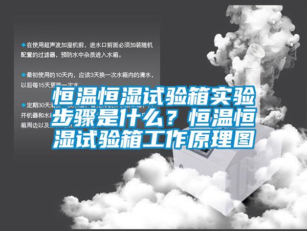 恒溫恒濕試驗(yàn)箱實(shí)驗(yàn)步驟是什么？恒溫恒濕試驗(yàn)箱工作原理圖