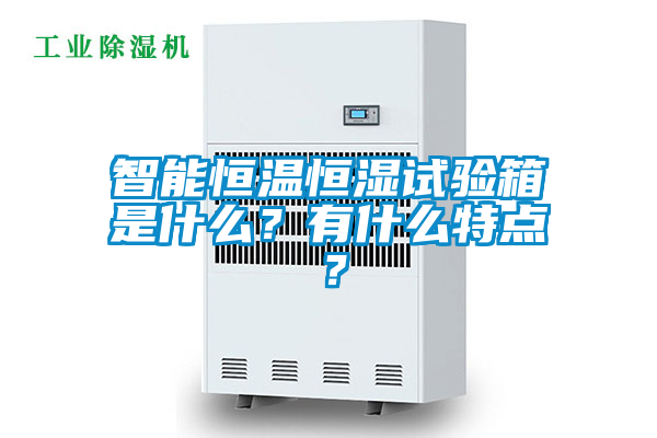 智能恒溫恒濕試驗(yàn)箱是什么？有什么特點(diǎn)？