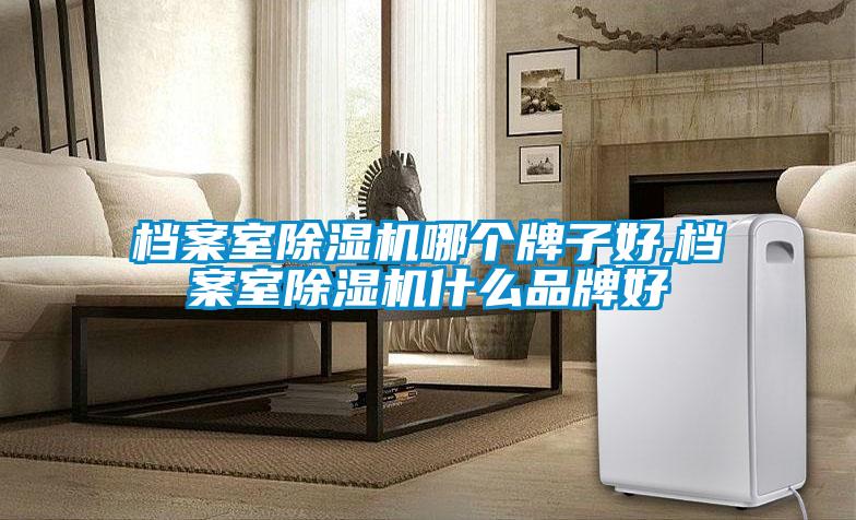 檔案室除濕機(jī)哪個(gè)牌子好,檔案室除濕機(jī)什么品牌好