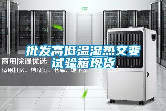 批發(fā)高低溫濕熱交變?cè)囼?yàn)箱現(xiàn)貨