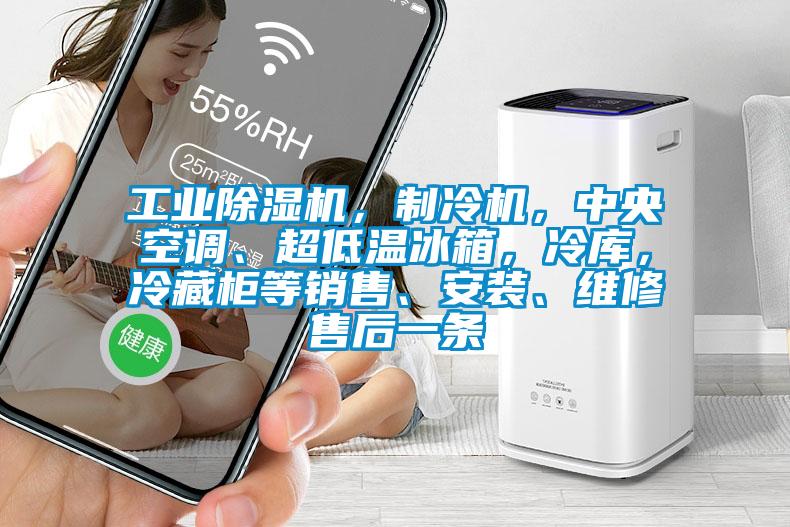 工業(yè)除濕機(jī)，制冷機(jī)，中央空調(diào)、超低溫冰箱，冷庫，冷藏柜等銷售、安裝、維修售后一條
