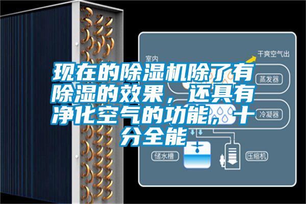 現(xiàn)在的除濕機(jī)除了有除濕的效果，還具有凈化空氣的功能，十分全能