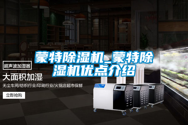 蒙特除濕機(jī)_蒙特除濕機(jī)優(yōu)點介紹