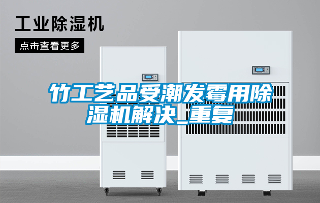 竹工藝品受潮發(fā)霉用除濕機解決_重復(fù)