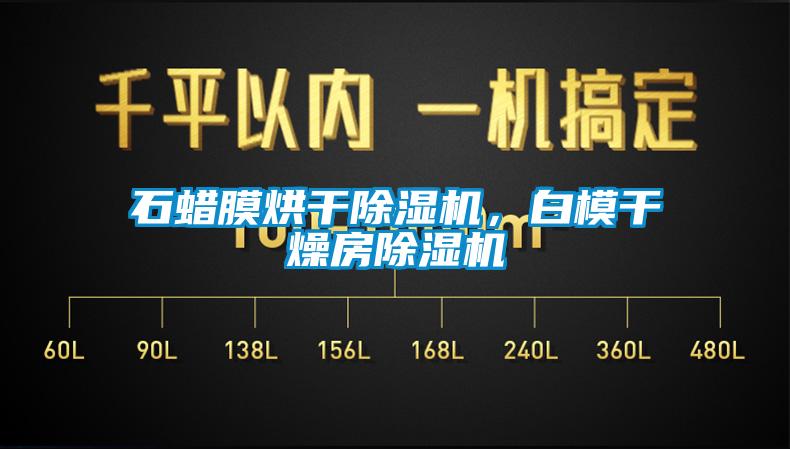 石蠟?zāi)ず娓沙凉駲C(jī)，白模干燥房除濕機(jī)