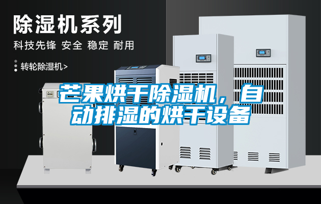 芒果烘干除濕機(jī)，自動(dòng)排濕的烘干設(shè)備