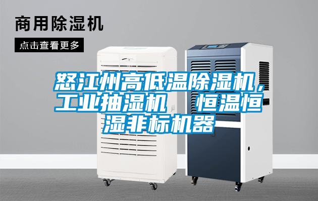 怒江州高低溫除濕機，工業(yè)抽濕機  恒溫恒濕非標機器