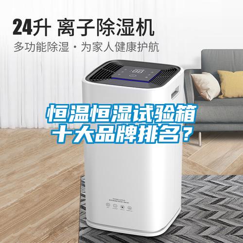 恒溫恒濕試驗(yàn)箱十大品牌排名？