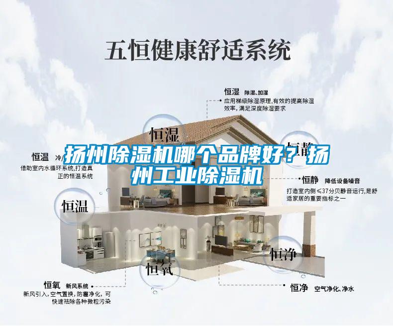 揚(yáng)州除濕機(jī)哪個(gè)品牌好？揚(yáng)州工業(yè)除濕機(jī)