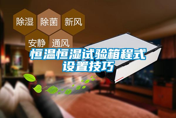 恒溫恒濕試驗箱程式設(shè)置技巧