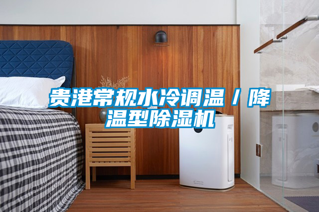 貴港常規(guī)水冷調(diào)溫／降溫型除濕機