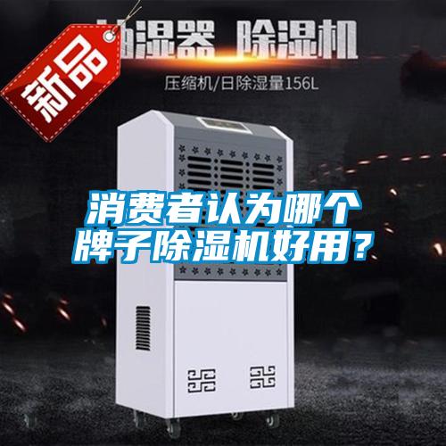 消費者認為哪個牌子除濕機好用？
