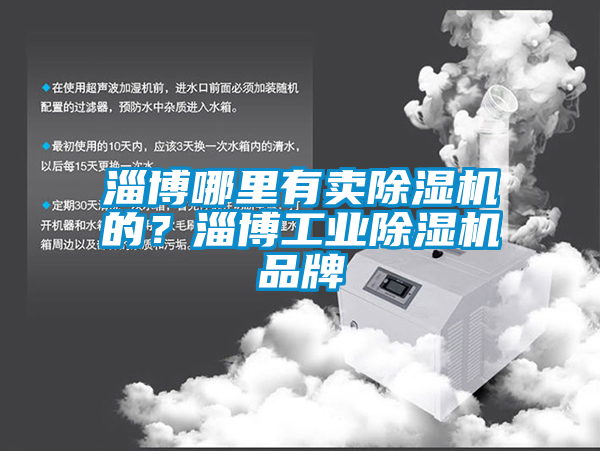 淄博哪里有賣(mài)除濕機(jī)的？淄博工業(yè)除濕機(jī)品牌