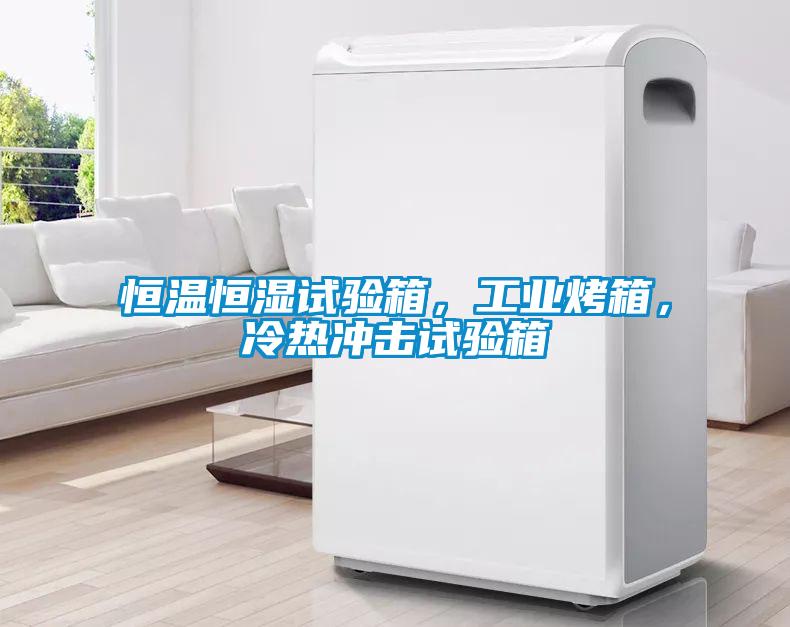恒溫恒濕試驗箱，工業(yè)烤箱，冷熱沖擊試驗箱