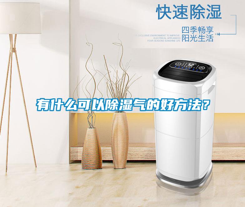 有什么可以除濕氣的好方法？