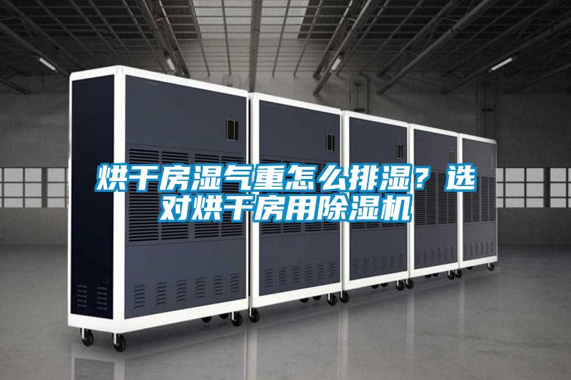 烘干房濕氣重怎么排濕？選對烘干房用除濕機