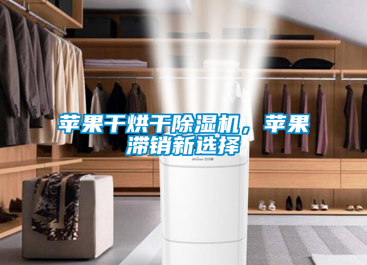 蘋果干烘干除濕機(jī)，蘋果滯銷新選擇