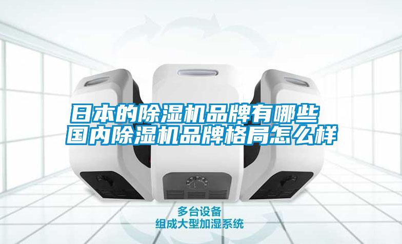 日本的除濕機(jī)品牌有哪些 國內(nèi)除濕機(jī)品牌格局怎么樣