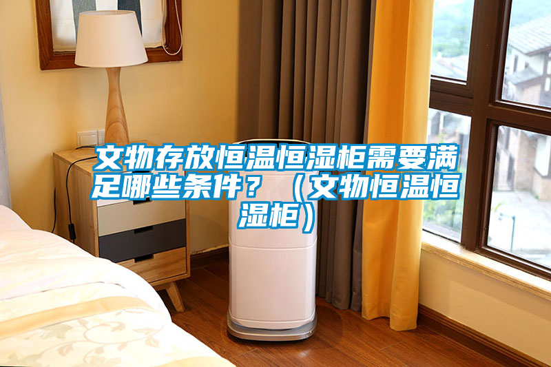 文物存放恒溫恒濕柜需要滿足哪些條件？（文物恒溫恒濕柜）