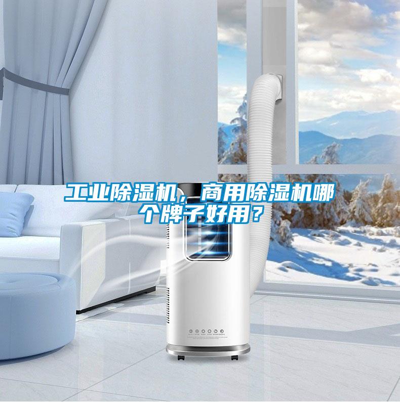 工業(yè)除濕機(jī)，商用除濕機(jī)哪個(gè)牌子好用？