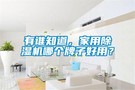 有誰(shuí)知道，家用除濕機(jī)哪個(gè)牌子好用？