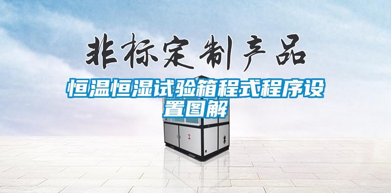 恒溫恒濕試驗箱程式程序設(shè)置圖解