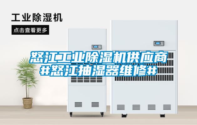 怒江工業(yè)除濕機供應商#怒江抽濕器維修#