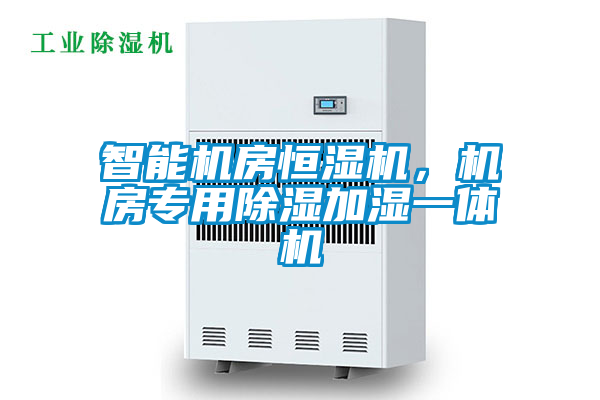 智能機(jī)房恒濕機(jī)，機(jī)房專用除濕加濕一體機(jī)