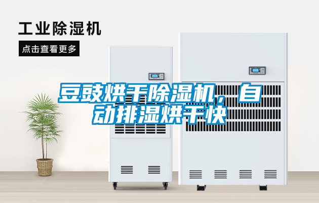 豆豉烘干除濕機，自動排濕烘干快