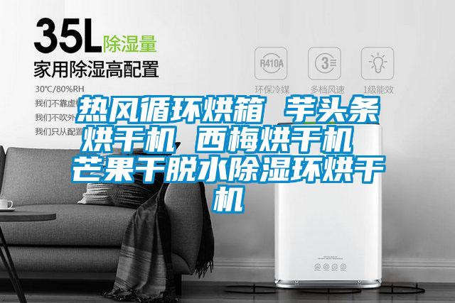 熱風循環(huán)烘箱 芋頭條烘干機 西梅烘干機 芒果干脫水除濕環(huán)烘干機