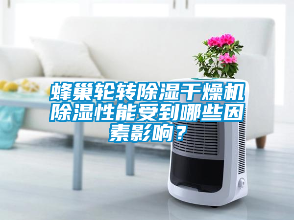 蜂巢輪轉(zhuǎn)除濕干燥機(jī)除濕性能受到哪些因素影響？
