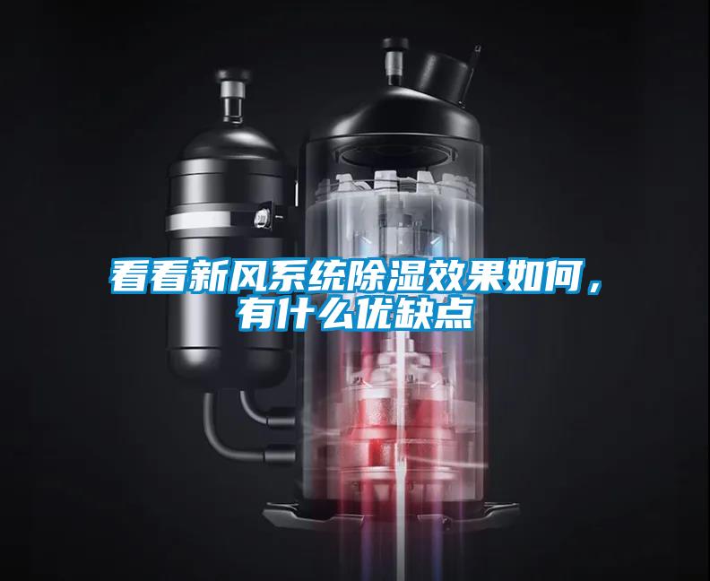 看看新風系統(tǒng)除濕效果如何，有什么優(yōu)缺點