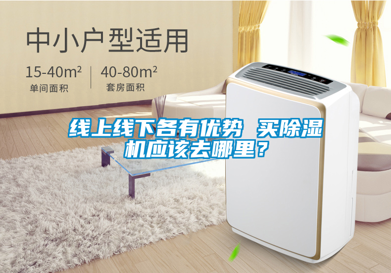 線上線下各有優(yōu)勢 買除濕機(jī)應(yīng)該去哪里？