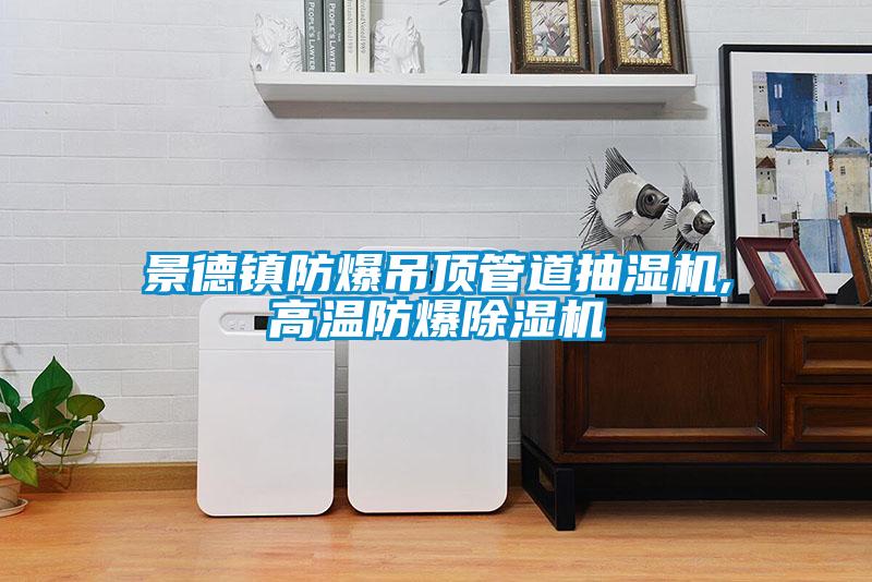 景德鎮(zhèn)防爆吊頂管道抽濕機,高溫防爆除濕機