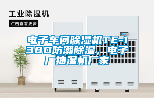 電子車間除濕機(jī)TE-138D防潮除濕，電子廠抽濕機(jī)廠家