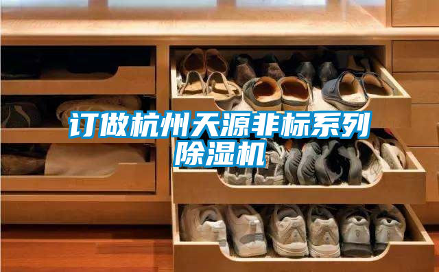 訂做杭州天源非標(biāo)系列除濕機(jī)