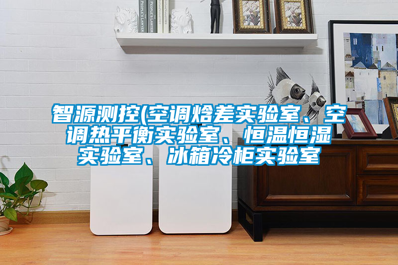 智源測(cè)控(空調(diào)焓差實(shí)驗(yàn)室、空調(diào)熱平衡實(shí)驗(yàn)室、恒溫恒濕實(shí)驗(yàn)室、冰箱冷柜實(shí)驗(yàn)室